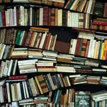 Customers Hound Black-Owned Bookstore Probably for Not Shipping Copies of White Fragility Faster