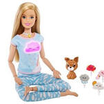 Barbie's 24-Hour Wellness Journal