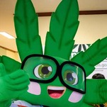 My Quarantine Stockpile Is Weed