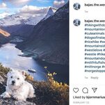 A Brief Interview With a Man Who Takes Majestic Photos of His Tiny, Impossibly Athletic Dog