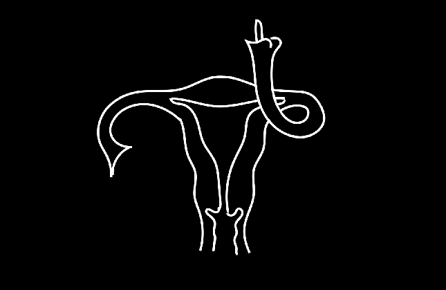How Jezebel Unknowingly Created an International Symbol of Feminist Protest