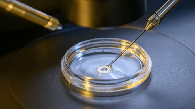 Tennessee Republicans Reject Bill to Protect IVF, Argue It Would Weaken Abortion Ban