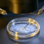 Tennessee Republicans Reject Bill to Protect IVF, Argue It Would Weaken Abortion Ban