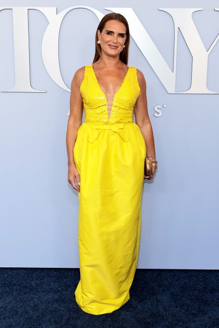Brooke Shields 