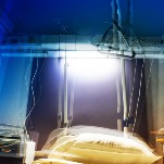 In the Medical System, the Concept of General ‘Safety’ Can Be a Pretext to Harm Pregnant Women