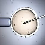 What The U.S. Can Learn From The U.K. About IVF Access