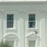 Someone Was Throwing Shit Out a White House Window