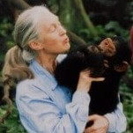 Jane Goodall: A Life Dedicated to Science, Environmentalism, and Humbling Men’s Egos