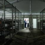 Amnesty International Describes Alligator Alcatraz Like a Torture-Fueled CIA Black Site