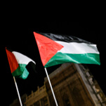 Gaza Death Toll Continues to Mount Under Israeli Ceasefire