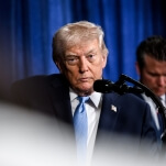 Splinter: How to Stay Sane in a World That's Gone Mad