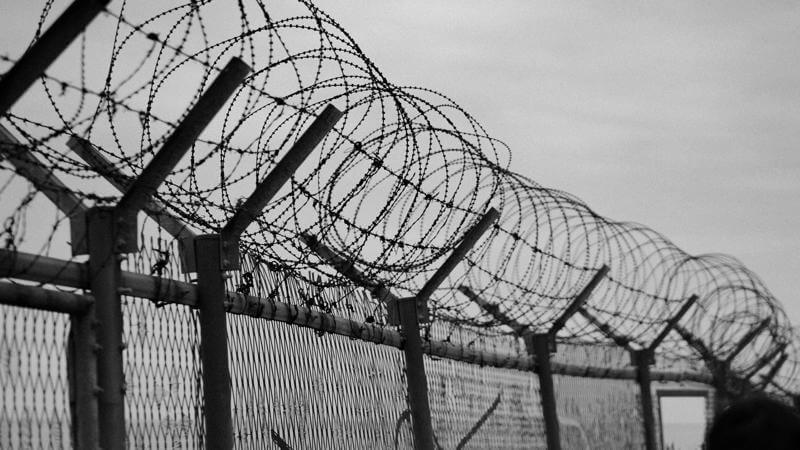 Irish Man in ICE Detention for Five Months Claims Agents Forged His Signature on Documents