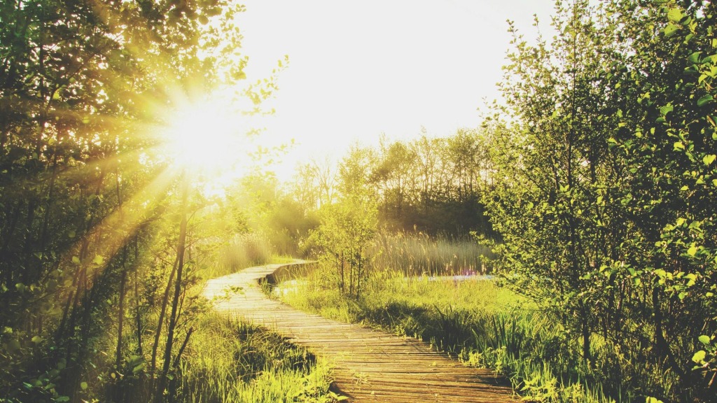 Daylight Saving Time Is the Latest Argument Waiting to Divorce MAHA from MAGA