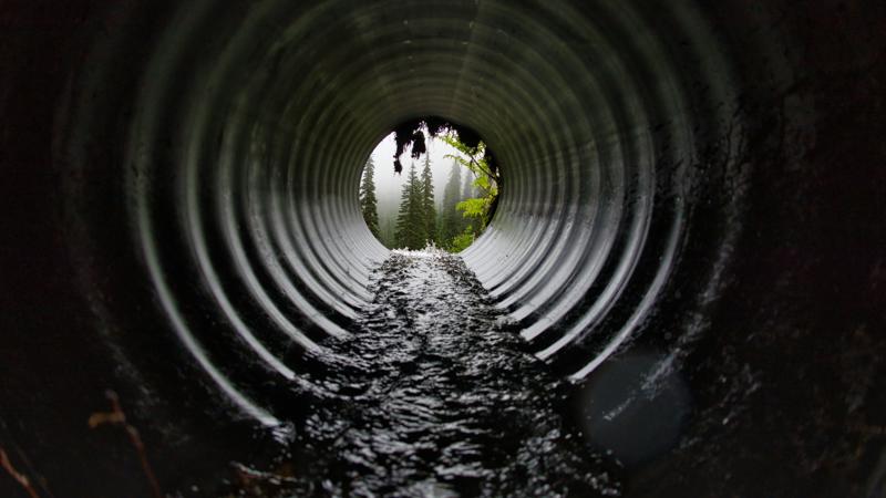 A Georgia City Will Be Drowning in Sewage Thanks to ICE "Mega Center," Say Officials