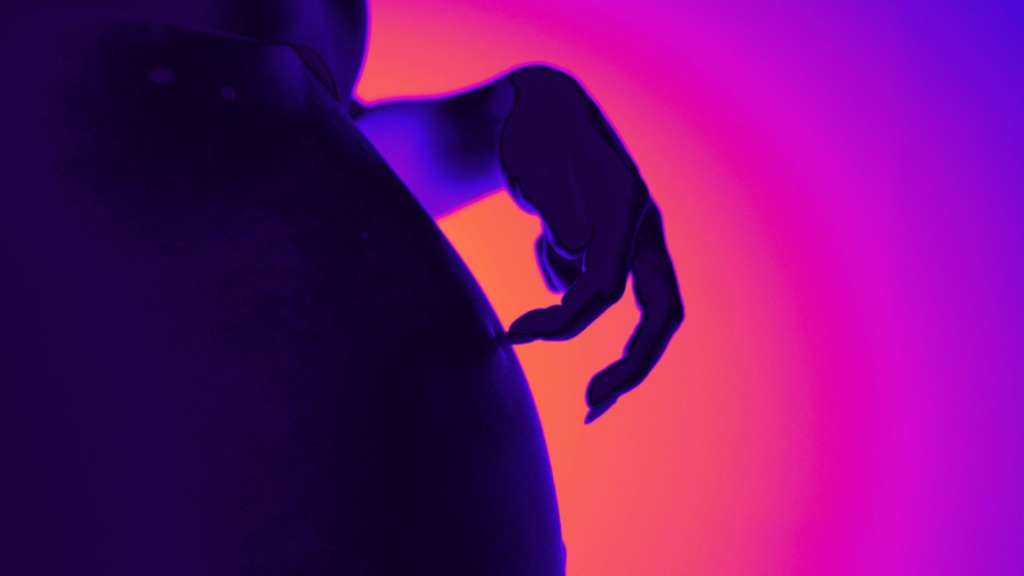 Cross Ballerina Farm with 'Rosemary's Baby' and You Get the New Novel 'Trad Wife'