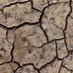 All It Takes Is a Broken Car Air Conditioner for Climate Change to Kill You
