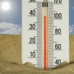 Europe’s Deadly Heat Wave Would Be “Virtually Impossible” Without Climate Change
