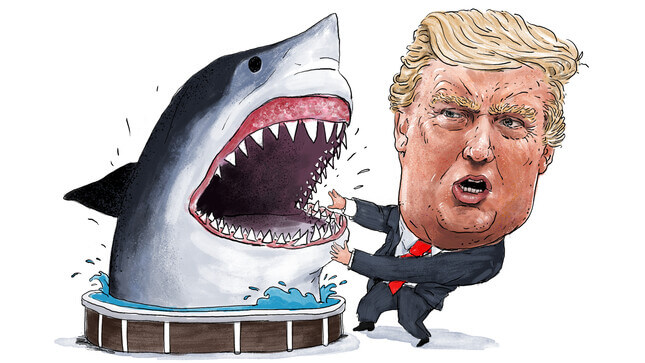 What Does Donald Trump See When He Looks at the Sharks?