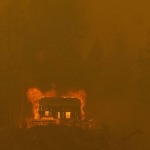 A Decade of California Wildfires Cost 50,000 Lives and Half a Trillion Dollars