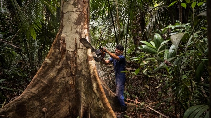 The Once Isolated Tribes of the Peruvian Amazon Face Annihilation