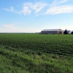 Does Deb Fischer, Republican Senator from Nebraska, Know What Nebraska Looks Like?