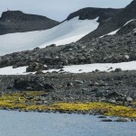 Antarctica Is Not Supposed To Be This Green