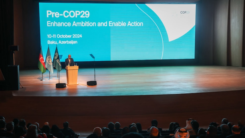 Countries Dither and CEOs Push as COP29 Approaches