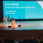 Countries Dither and CEOs Push as COP29 Approaches