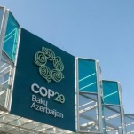 COP29 Update: A Climate of Failure