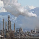 'No Sign' of Fossil Fuel Peak: Emissions Will Rise Yet Again in 2025