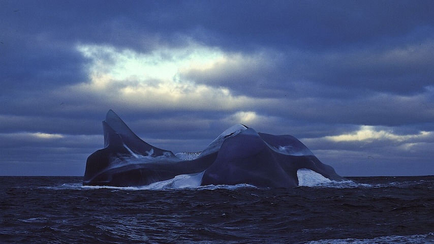 Study: Ocean Life is Helping Keep Us Cooler Than We Thought