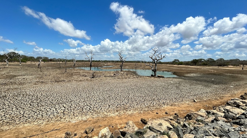 We’re Adding a Small Country’s Worth of Megadrought Area Every Year