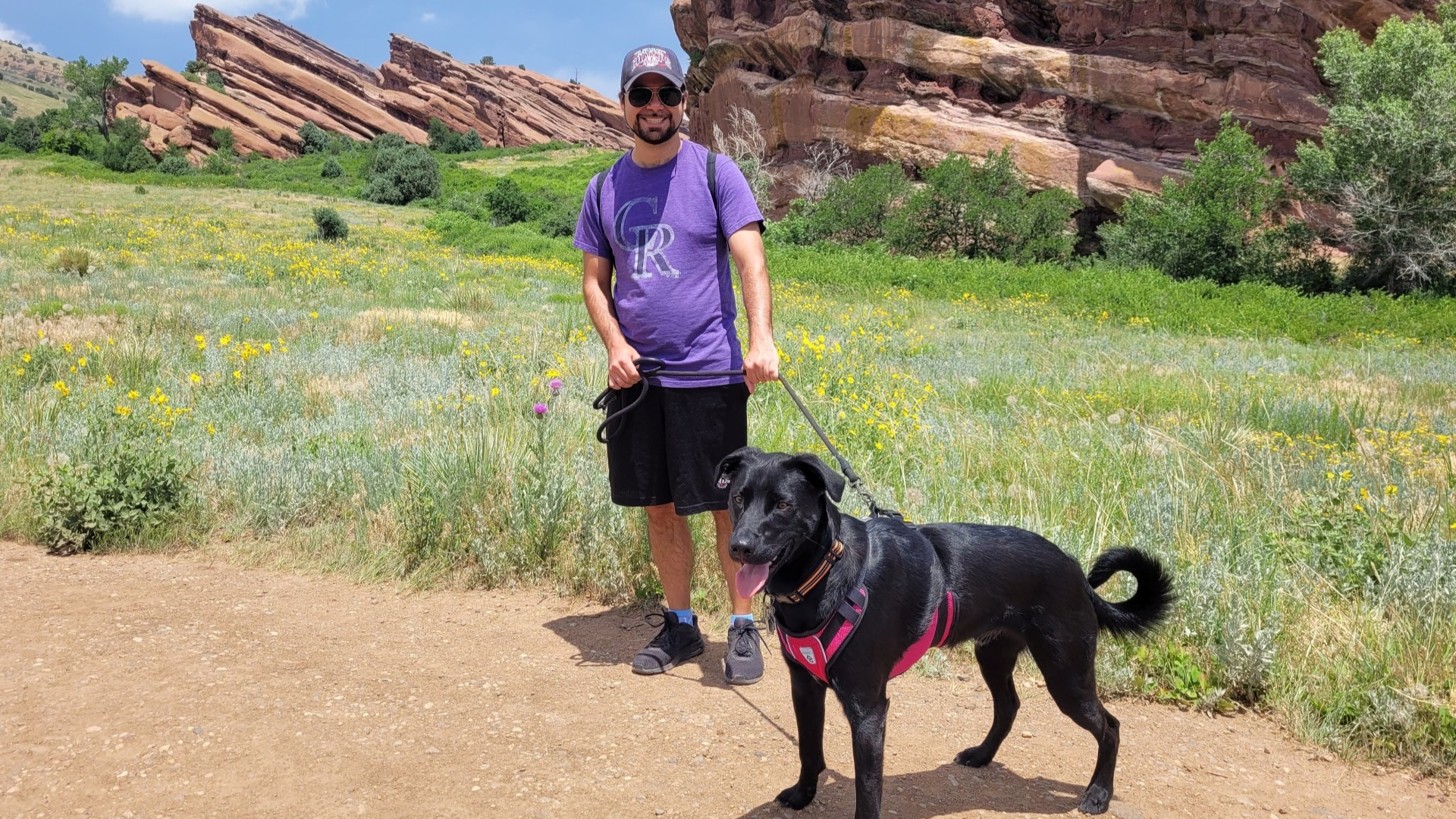 A Eulogy for Rocky, My Perfect Little Man Who Gave His Life to Help Other Dogs