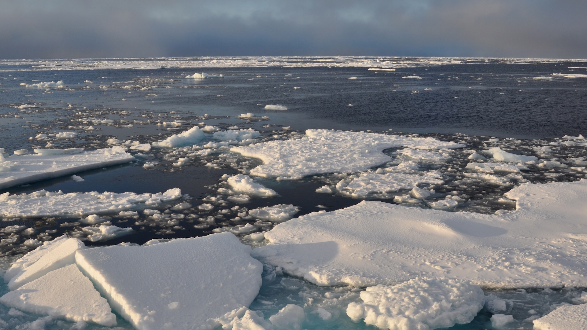 The Atlantic Ocean’s Critical Current Will Not Collapse Just Yet, Study Finds