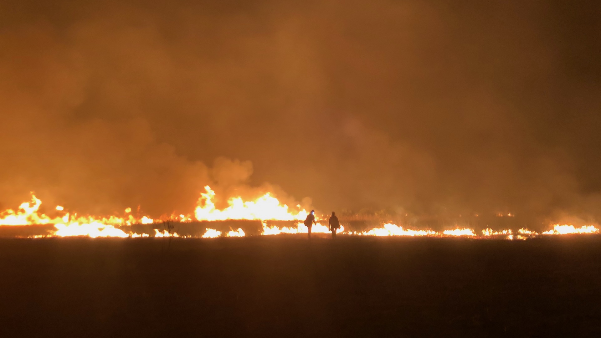 ‘Distress Signals’: WMO Report Demonstrates the Bad Timing of Trump’s Climate Pullback