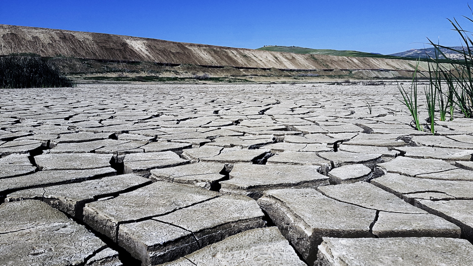 Study: Worst-Case Warming Will Decimate Global GDP, Because Impacts Don’t Stop at Borders