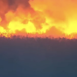 The Pine Barrens Are On Fire