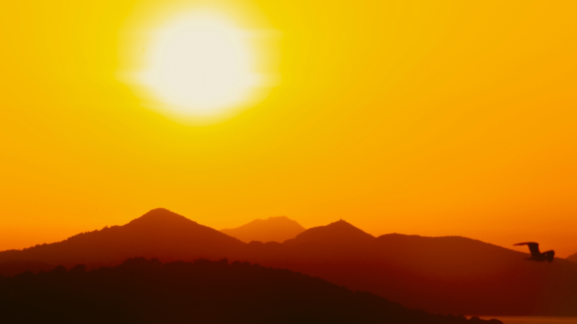 WMO: Hot Planet Getting Hotter