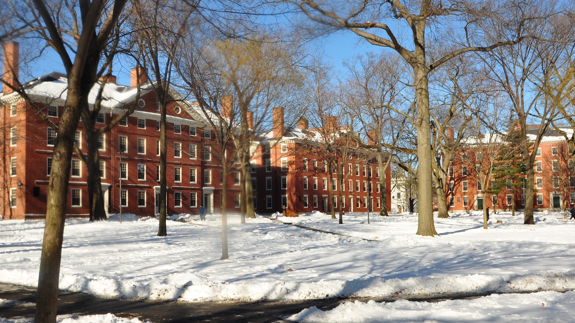 Harvard Sues Trump Administration Over ‘Clear Retaliation’ Move to Revoke Enrollment of Foreign Students