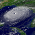 This Is Fine: Head of FEMA Doesn’t Know that Hurricane Season Exists