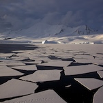 Bad News for Sea Ice: The Ocean Around Antarctica Is Getting Saltier
