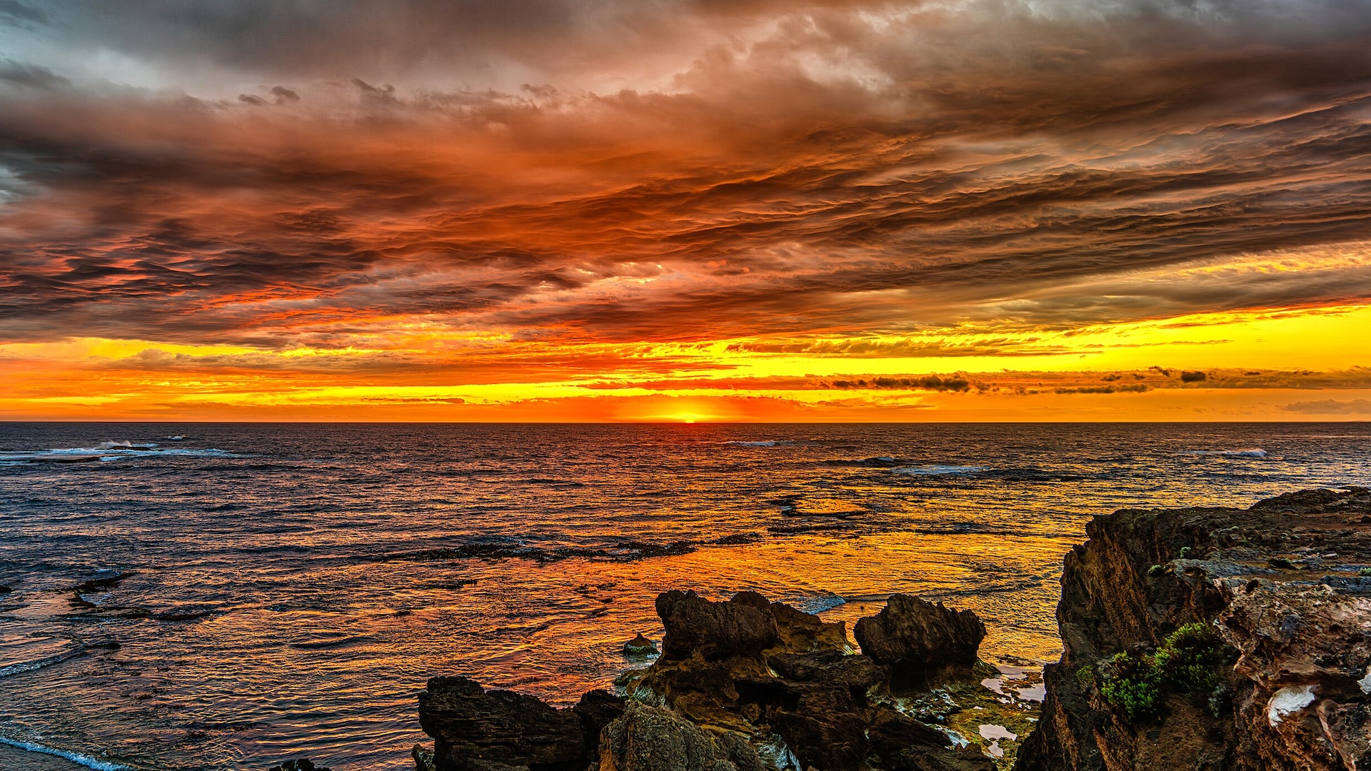 Study: Recent Unprecedented Marine Heat Waves May Signal a Climate Tipping Point