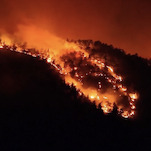 Too Hot, Too Wet, Too On Fire: Climate Changed Summer Bares Its Teeth