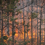 The State of the Climate Is: Grim