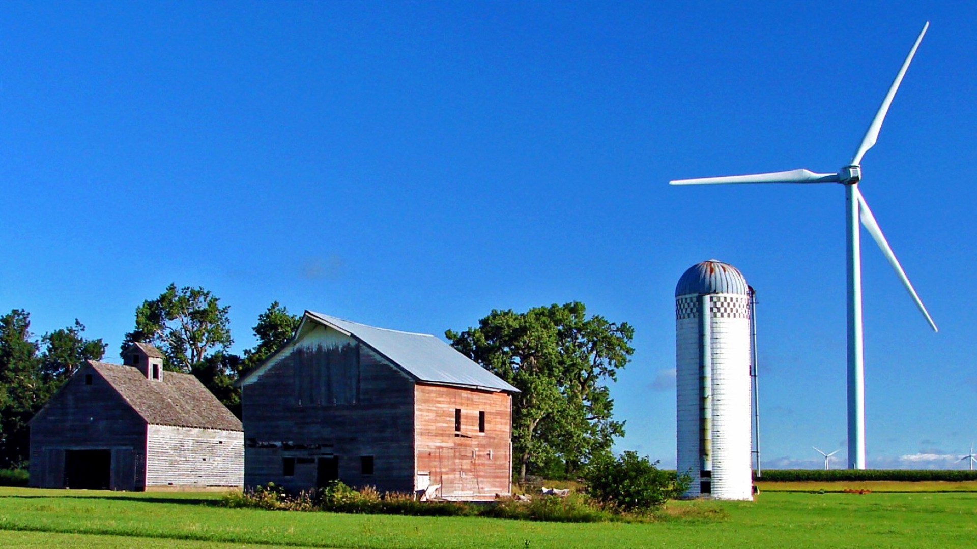 Trump Is Immiserating His Own Voters With His War on Renewable Energy