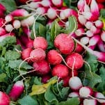The Magical Combo of Radish, Butter and Salt