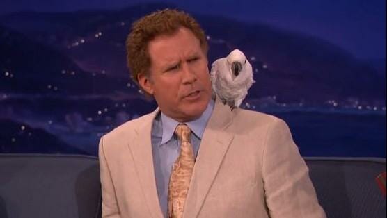 Watch Will Ferrell Dismiss Conan O’Brien’s Questions About the Bird on His Shoulder