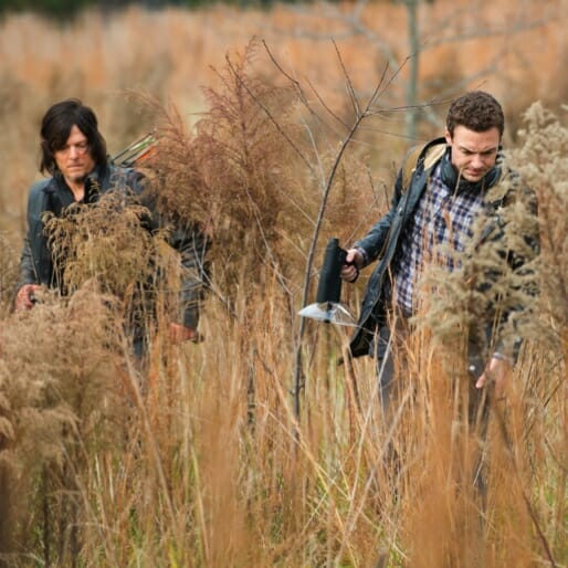 The Walking Dead Season 5 Finale: 