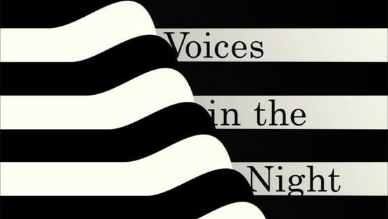 Voices in the Night by Steven Millhauser