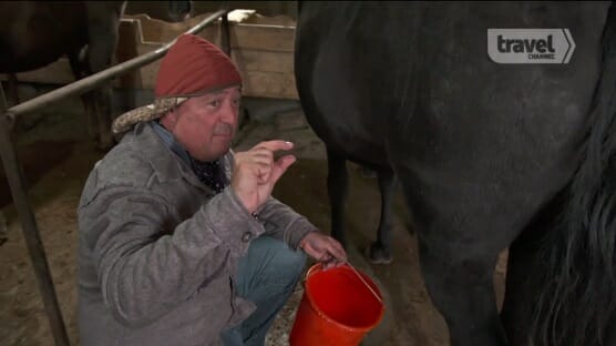 Watch Andrew Zimmern Milk a Horse in Exclusive Clip From Tonight’s Bizarre Foods Premiere